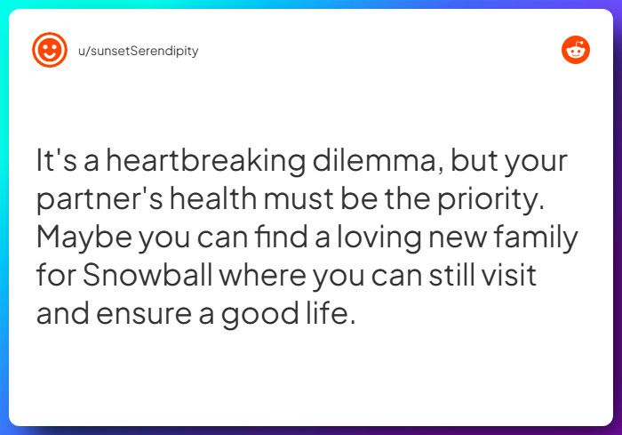 Comment from u/sunsetSerendipity