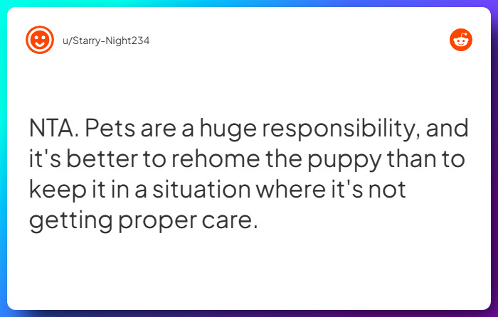 Comment from u/Starry-Night234