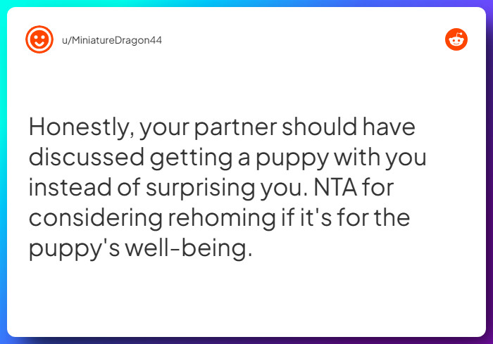 Comment from u/MiniatureDragon44