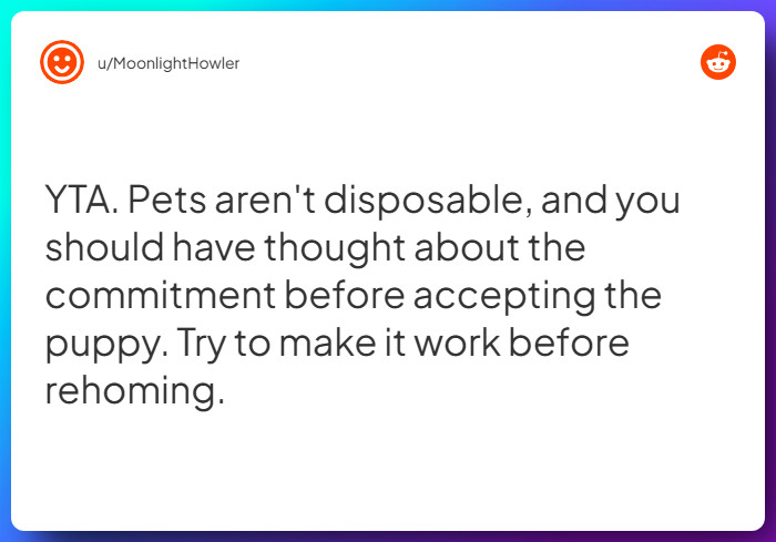 Comment from u/MoonlightHowler