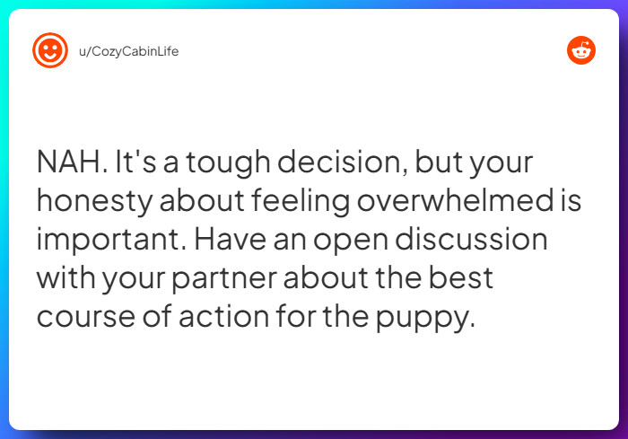 Comment from u/CozyCabinLife