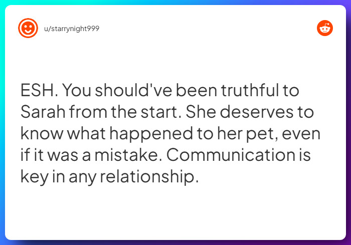 Comment from u/starrynight999