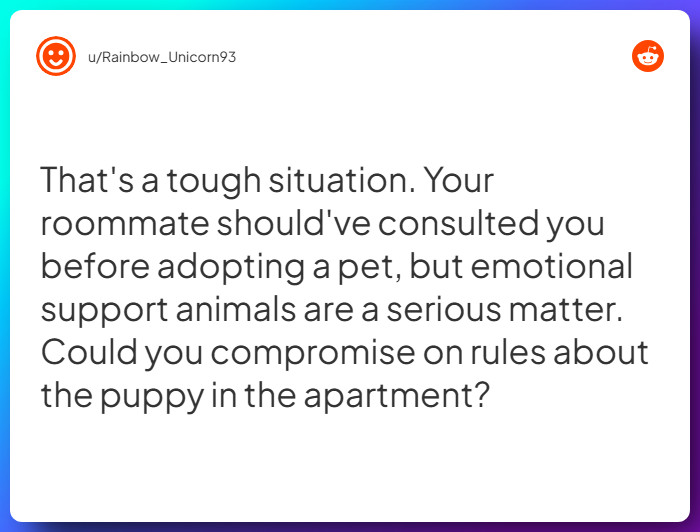 Comment from u/Rainbow_Unicorn93