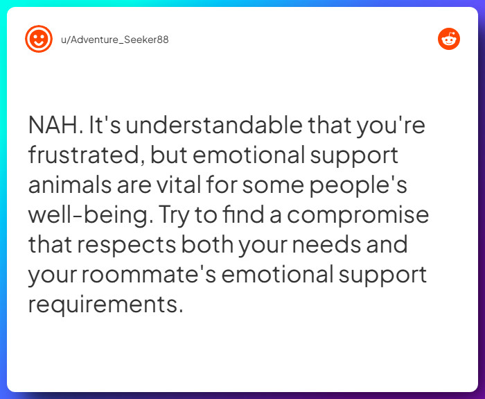 Comment from u/Adventure_Seeker88