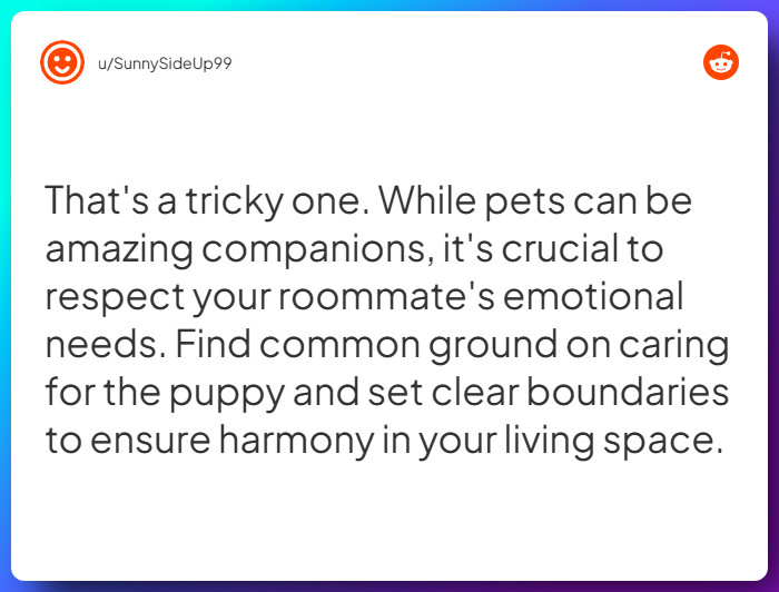 Comment from u/SunnySideUp99