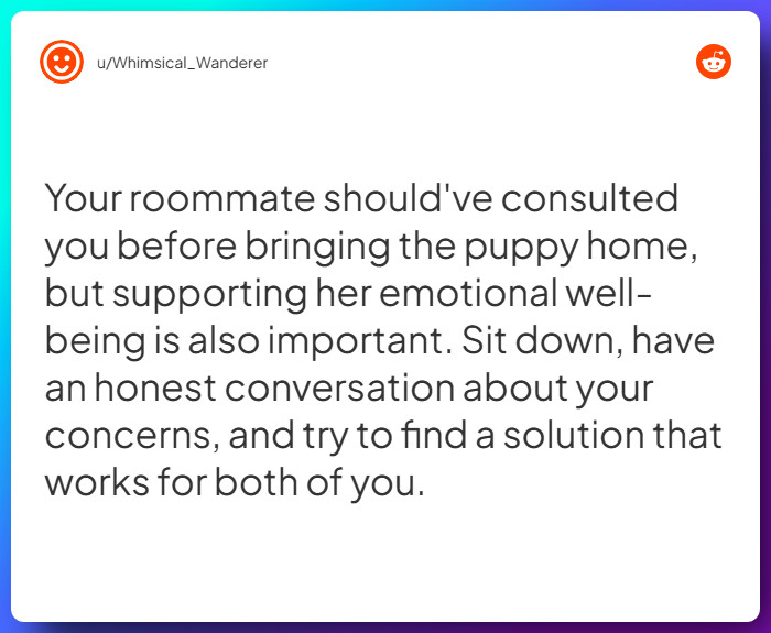 Comment from u/Whimsical_Wanderer