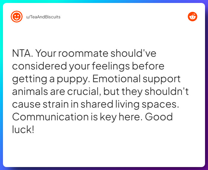Comment from u/TeaAndBiscuits