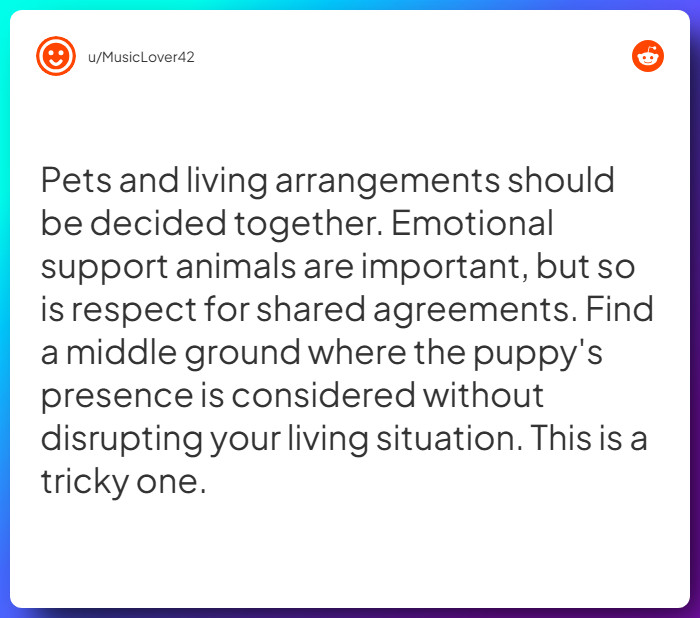 Comment from u/MusicLover42