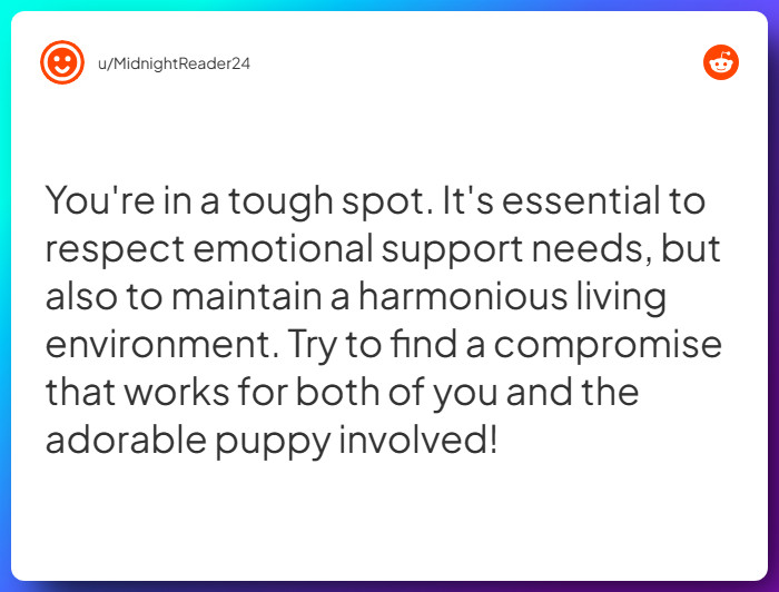 Comment from u/MidnightReader24