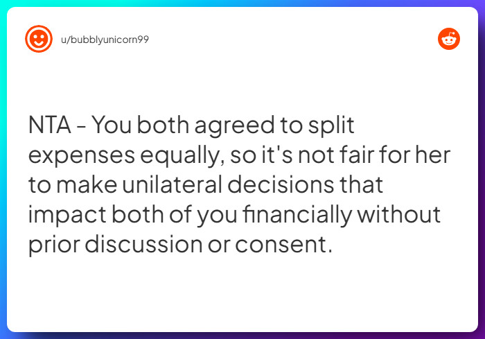Comment from u/bubblyunicorn99
