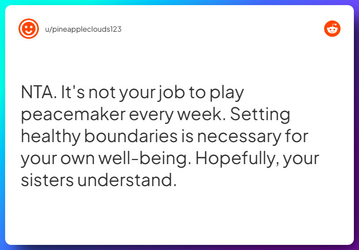 Comment from u/pineappleclouds123