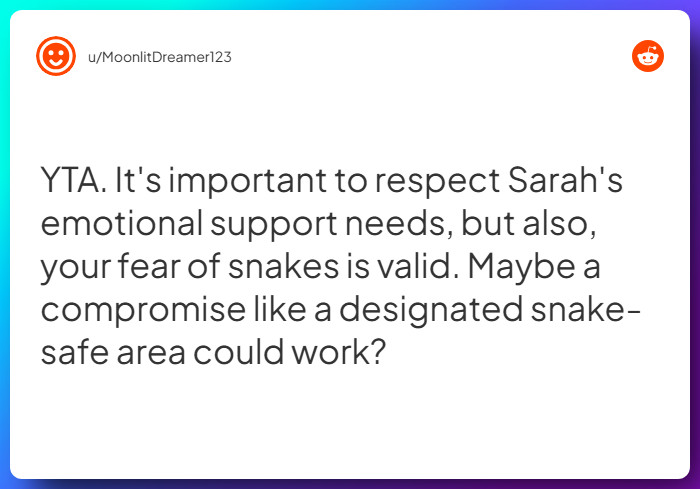 Comment from u/MoonlitDreamer123