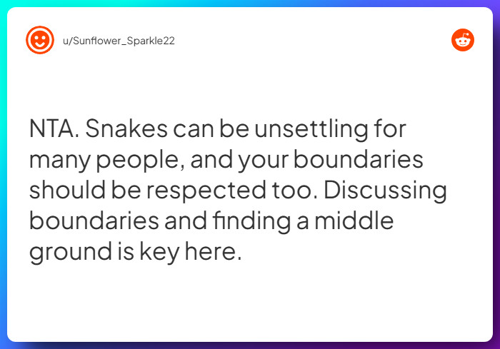 Comment from u/Sunflower_Sparkle22