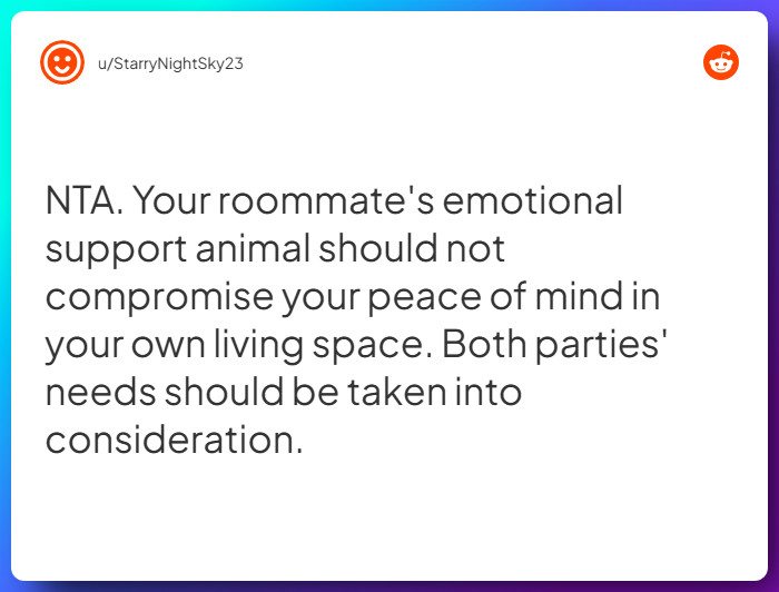 Comment from u/StarryNightSky23