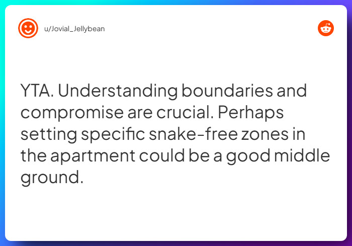 Comment from u/Jovial_Jellybean