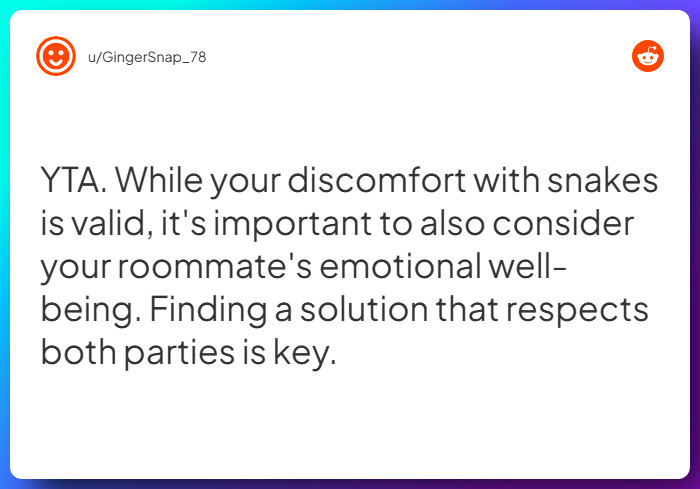 Comment from u/GingerSnap_78