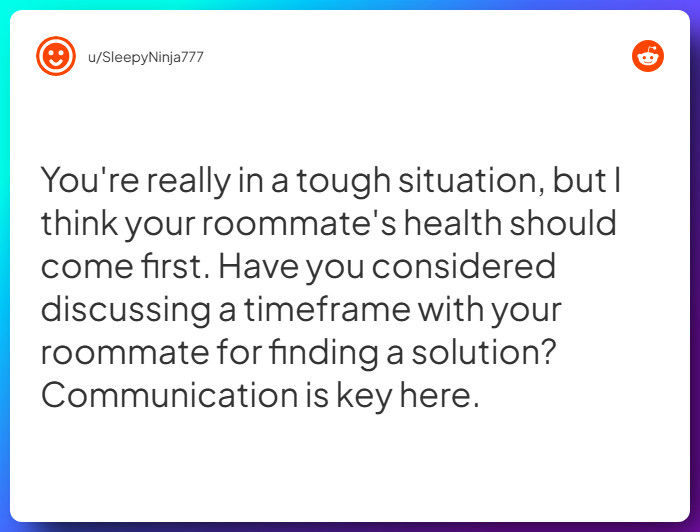 Comment from u/SleepyNinja777