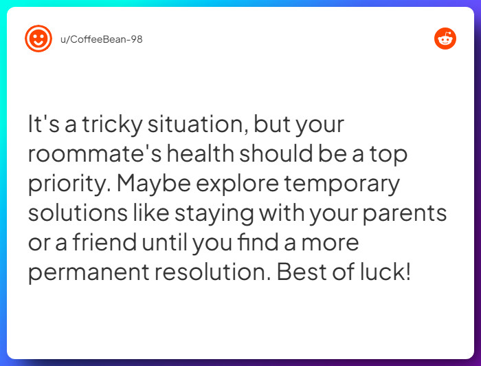 Comment from u/CoffeeBean-98