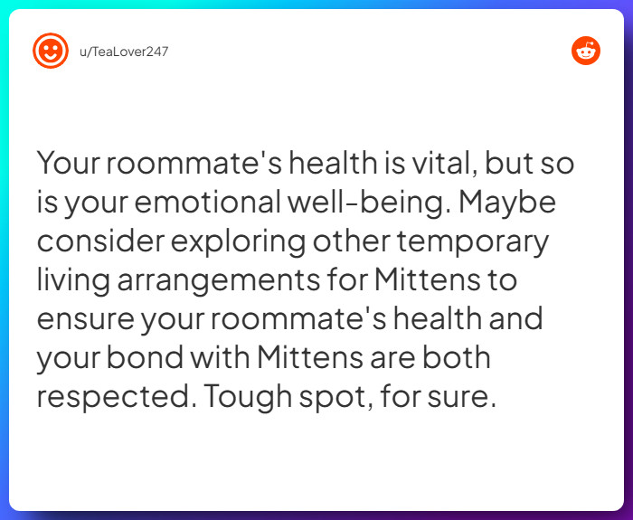 Comment from u/TeaLover247