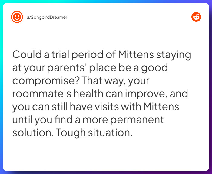 Comment from u/SongbirdDreamer