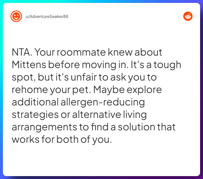 Comment from u/AdventureSeeker88