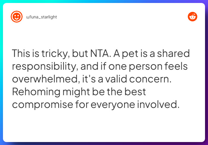 Comment from u/luna_starlight