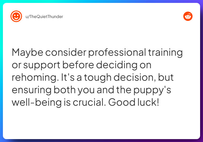 Comment from u/TheQuietThunder