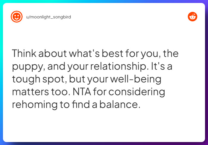 Comment from u/moonlight_songbird
