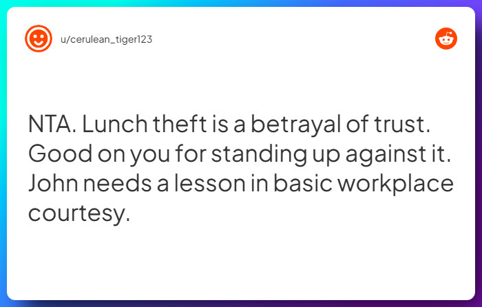 Comment from u/cerulean_tiger123