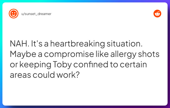 Comment from u/sunset_dreamer