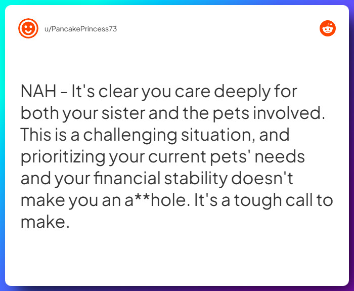 Comment from u/PancakePrincess73