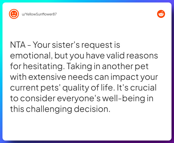 Comment from u/YellowSunflower87