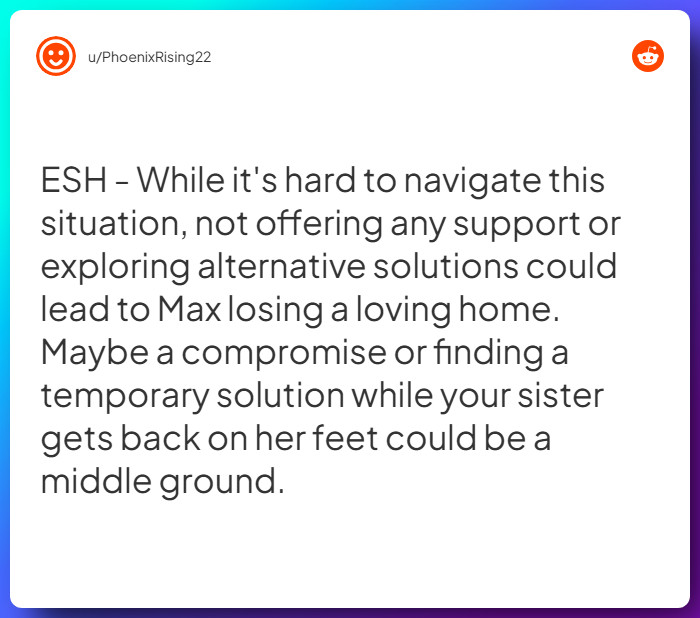 Comment from u/PhoenixRising22