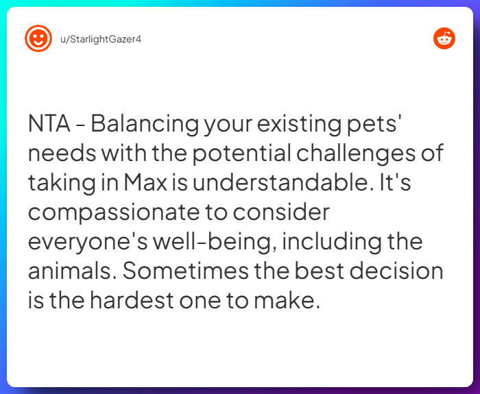 Comment from u/StarlightGazer4