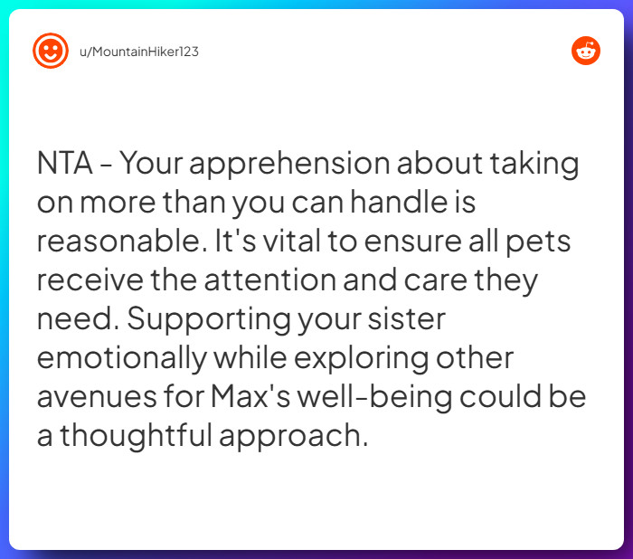 Comment from u/MountainHiker123