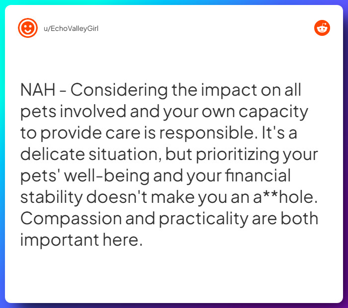 Comment from u/EchoValleyGirl