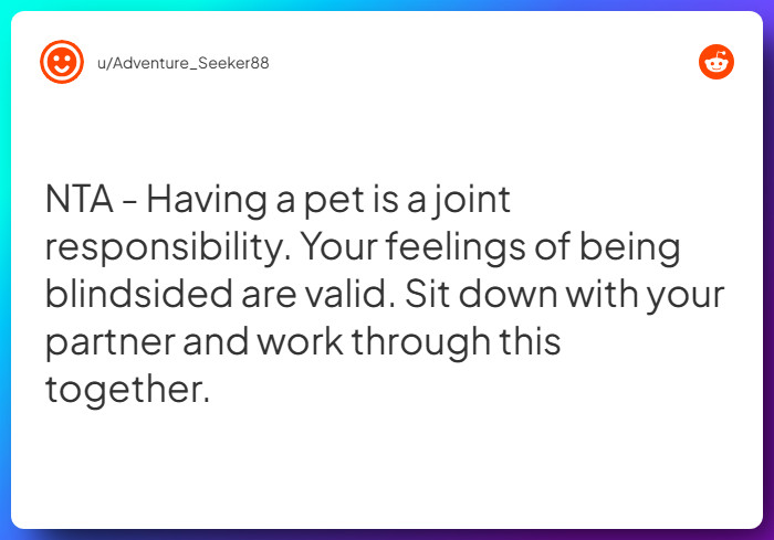 Comment from u/Adventure_Seeker88