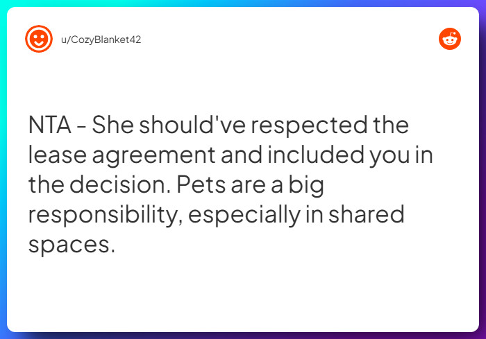 Comment from u/CozyBlanket42