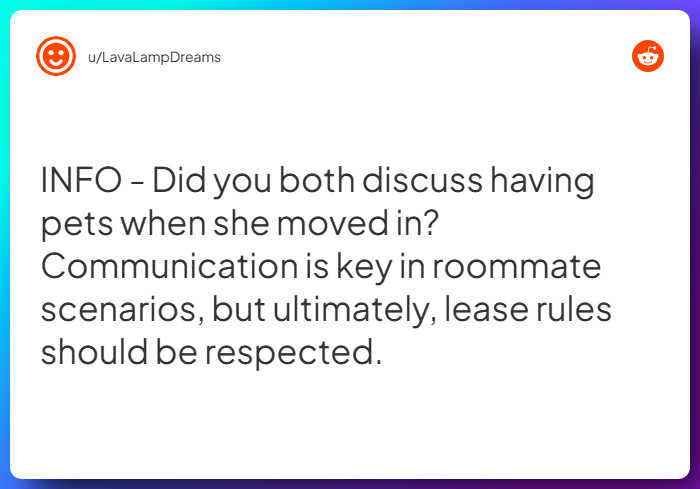 Comment from u/LavaLampDreams