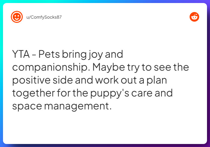 Comment from u/ComfySocks87
