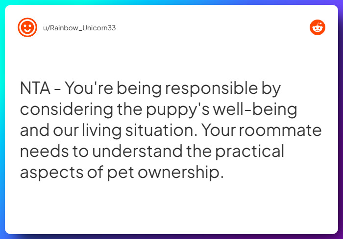 Comment from u/Rainbow_Unicorn33