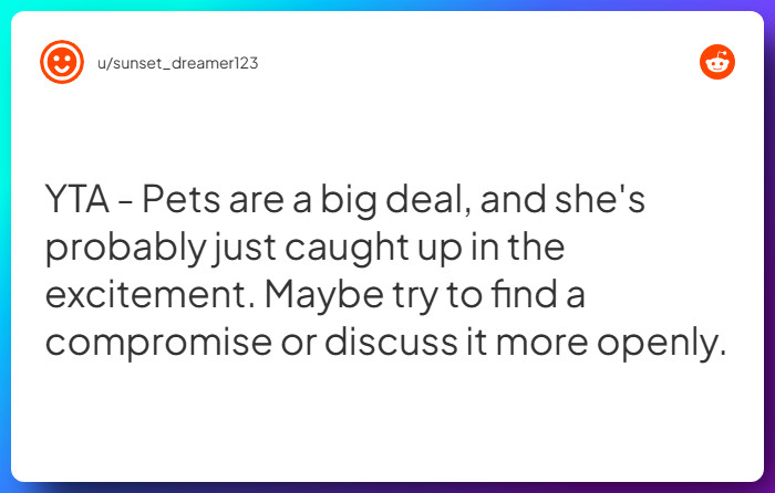 Comment from u/sunset_dreamer123