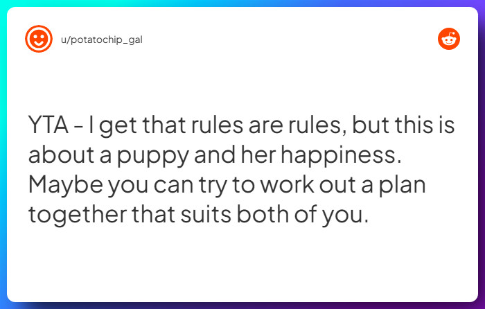 Comment from u/potatochip_gal