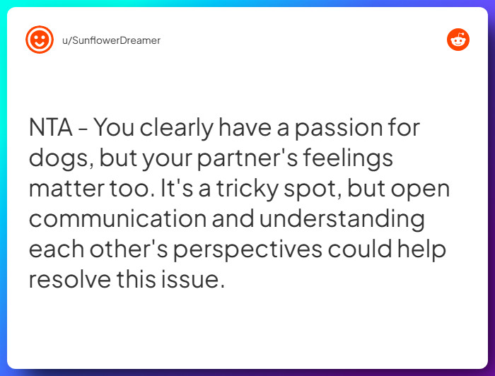 Comment from u/SunflowerDreamer