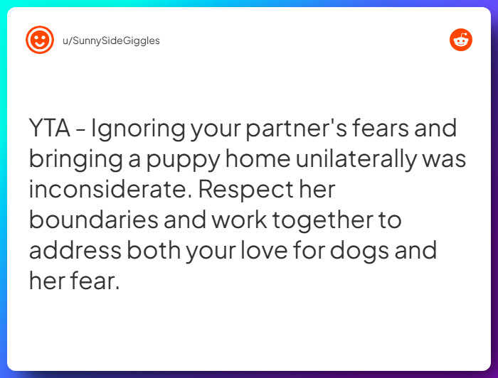 Comment from u/SunnySideGiggles