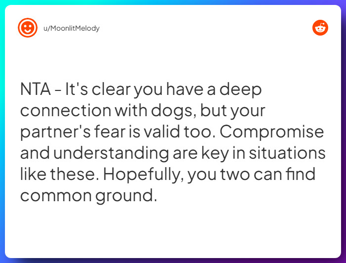 Comment from u/MoonlitMelody