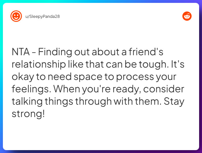 Comment from u/SleepyPanda28