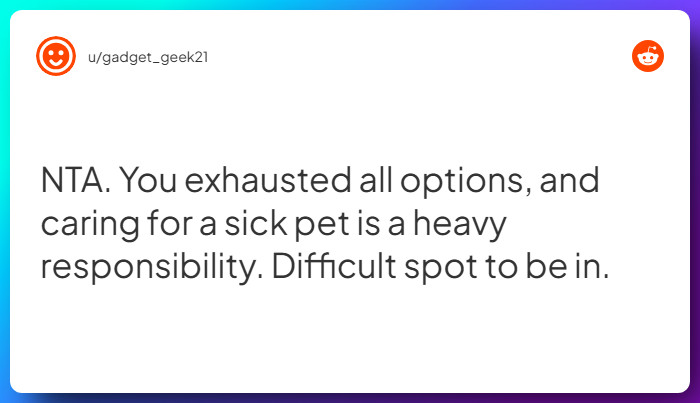 Comment from u/gadget_geek21