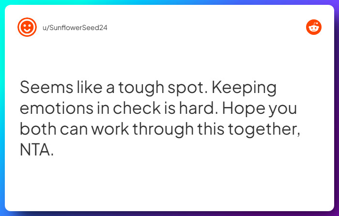 Comment from u/SunflowerSeed24