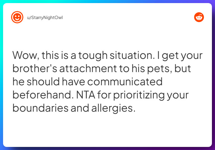 Comment from u/StarryNightOwl